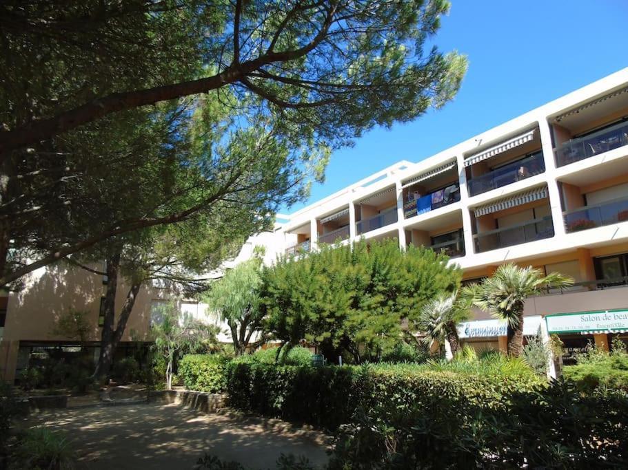 Studio "La Mer" A Bormes-Les-Mimosas Exterior photo